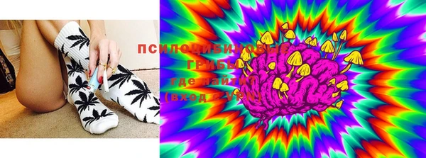 прущие крисы Беломорск