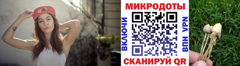 Купить Новопавловск Галлюциногенные грибы ЛСД